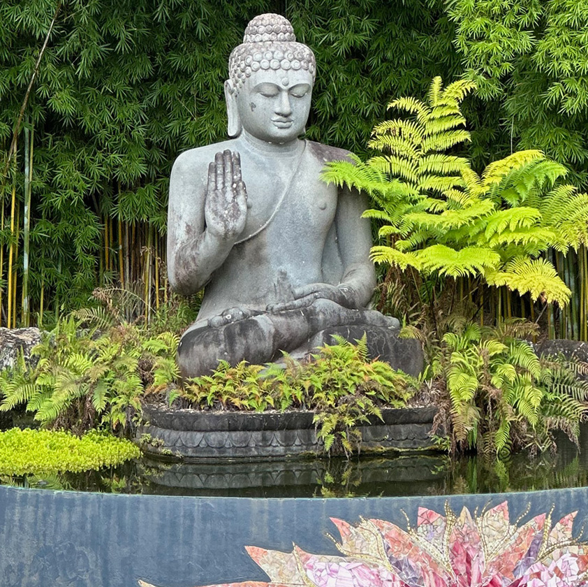 Buddha statue over coy pond captures the essence of Kim Colwell's feng shui consultations in Los Angeles, and virtually by zoom.