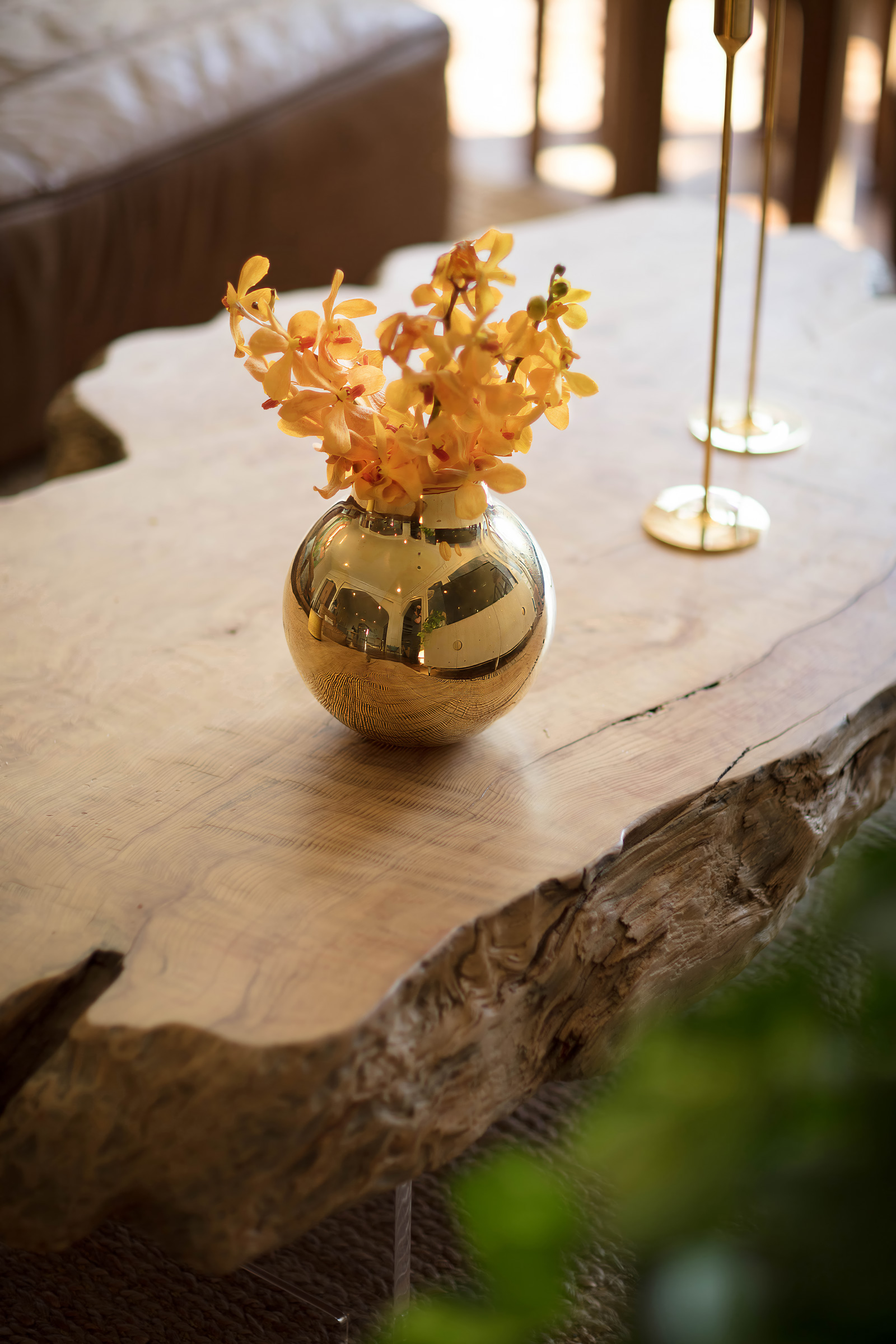 Kim Colwell customized this coffee table with Lawson Fenning to bring in Biophilic element on her interior design project.