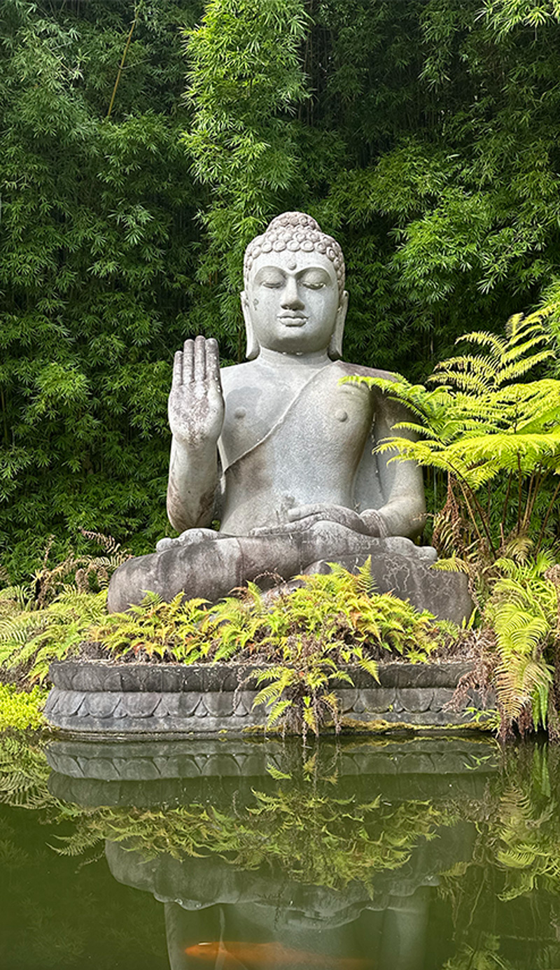 Kim Colwell Design teaches a certification feng shui class in Los Angeles or worldwide by zoom.
