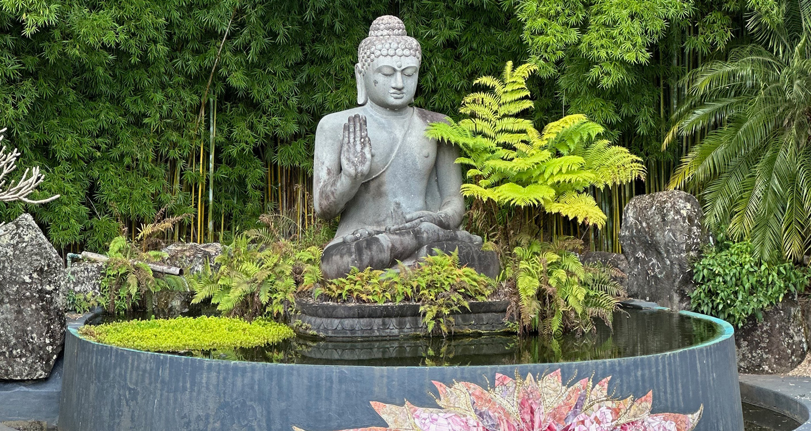 Kim Colwell is a second generation feng shui master in Los Angeles, offering consultations and certification feng shui classes in person or by zoom. 